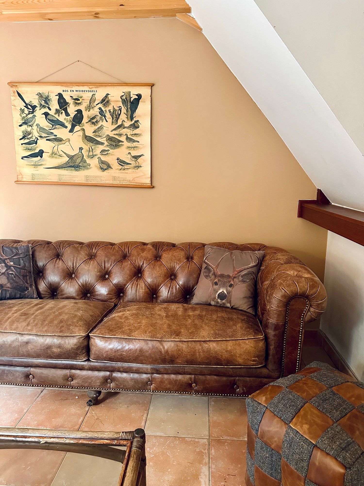 Vakantiehuis in het bos